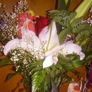 Meet your Posher, Marta